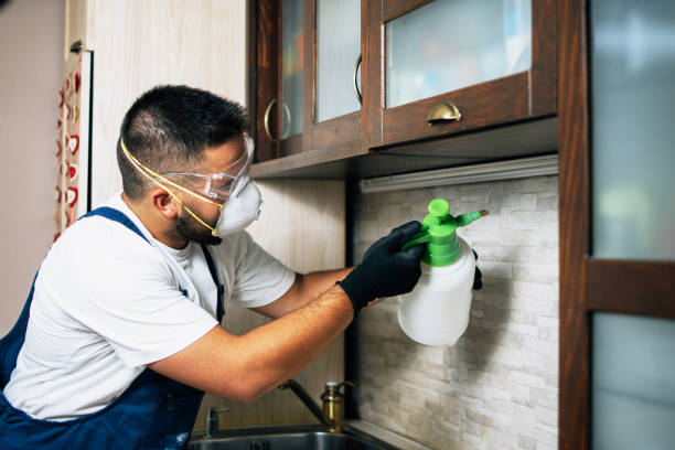 Best Pest Prevention Services  in Cypress Gardens, FL