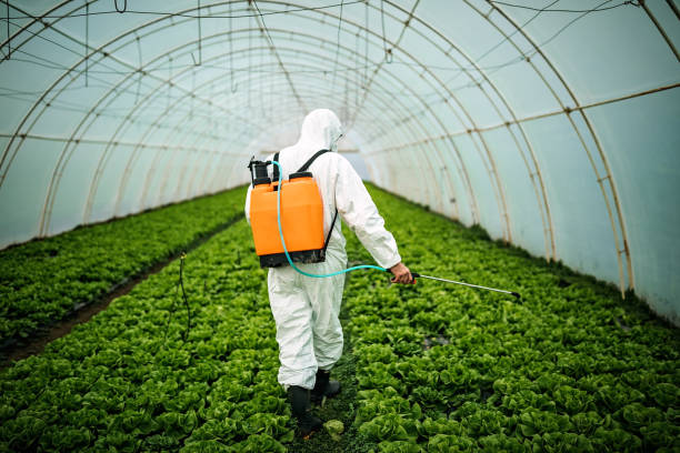 Best Residential Pest Control  in Cypress Gardens, FL
