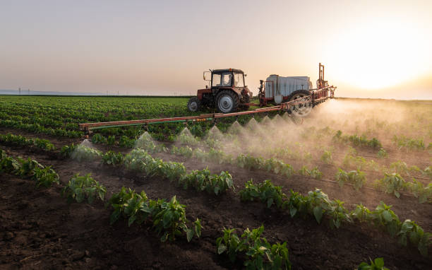 Best Mosquito Control Services  in Cypress Gardens, FL