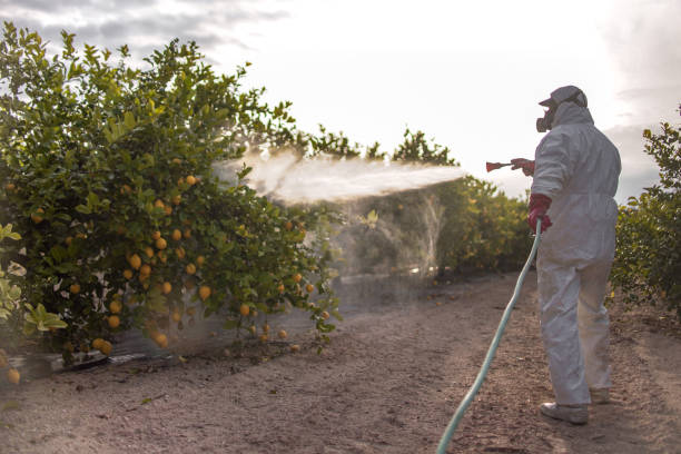Best Emergency Pest Control  in Cypress Gardens, FL