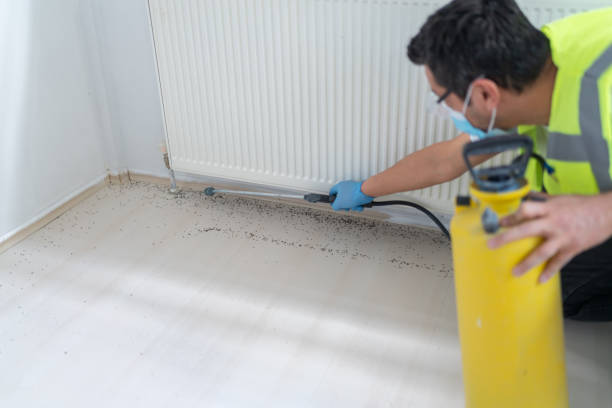 Best Exterminator Services  in Cypress Gardens, FL